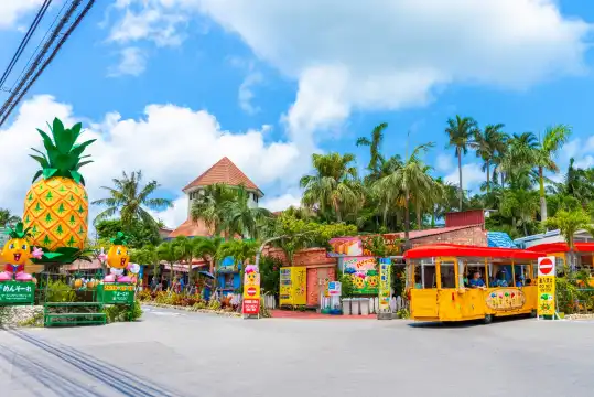 名護鳳梨園附近的飯店