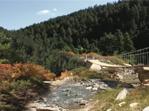 焉支山森林公園