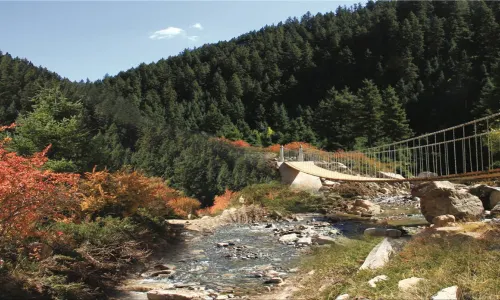 焉支山森林公園