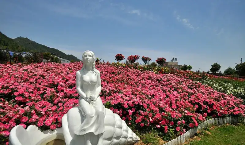 Hotels near Beilun Lisheng Rose Manor