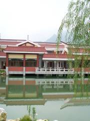 Tenfu Tea Museum Scenic Area