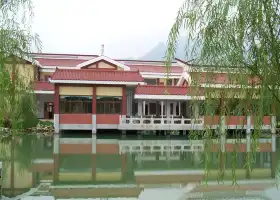 Tenfu Tea Museum Scenic Area