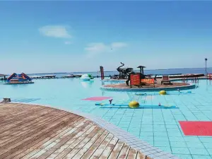Attrazioni Acquatiche a Daqing: le opzioni più popolari