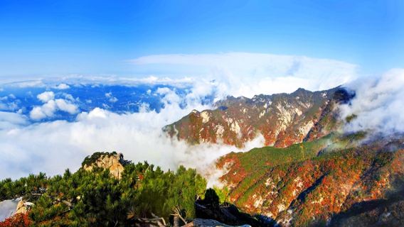 Fall Foliage Sightseeing in Huanggang