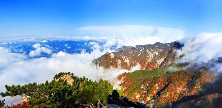 Fall Foliage Sightseeing in Huanggang