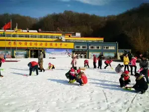 Старая территория лыжного поля