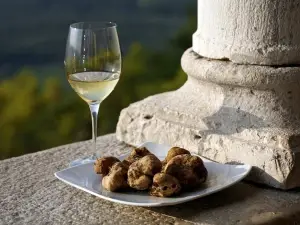 Flavours of Istria Tasting Experience from Trieste