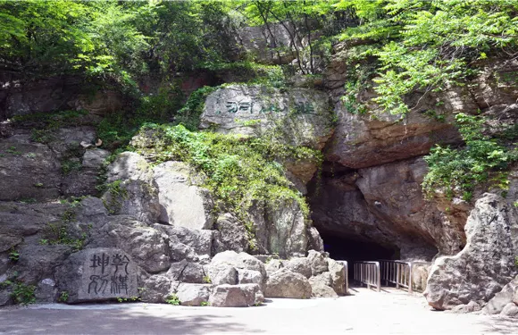 韭山洞門票長者