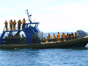 Vancouver Whale Watch