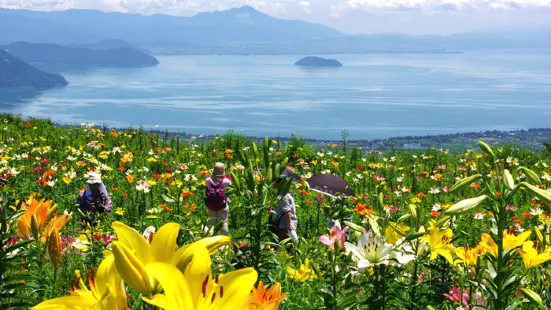 箱館山