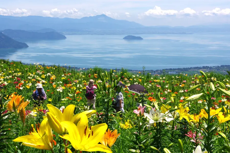 箱館山