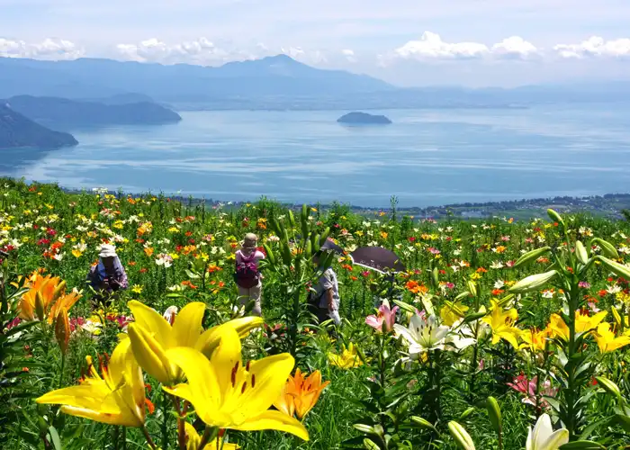 Hotels near Mt. Hakodate