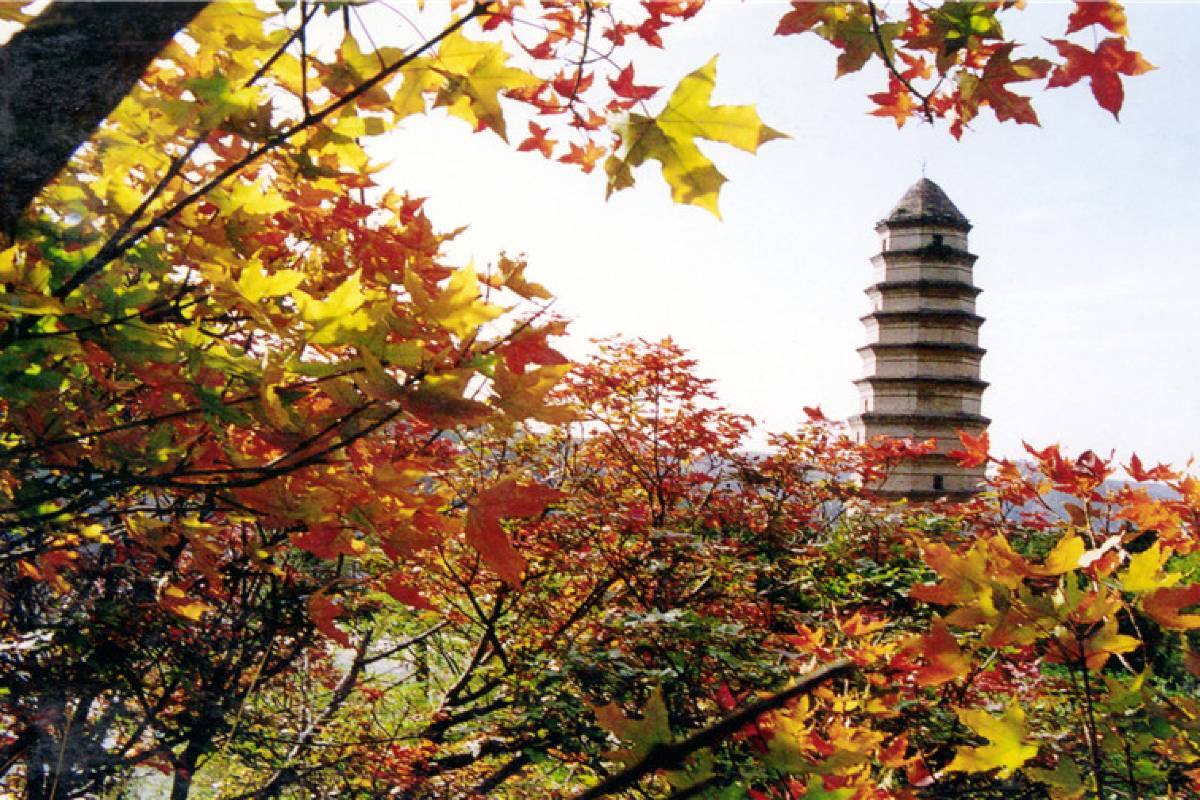 Excursion d’une journée dans Yan’an