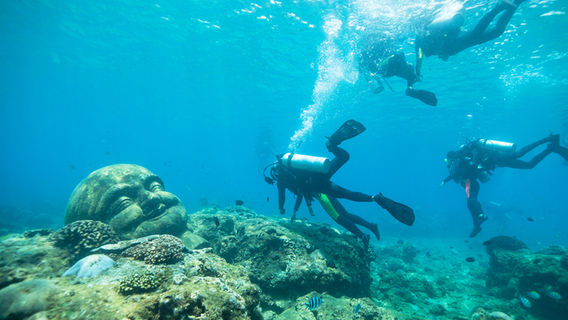 Разграничение ныряния острова