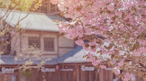 雪山峽谷演藝公園