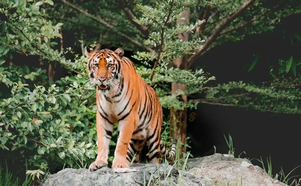 3_Cebu Safari and Adventure Park