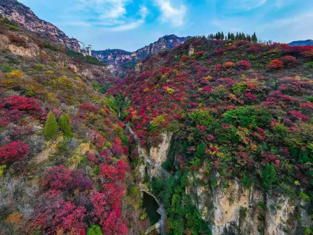 Fall Foliage Sightseeing in Zibo