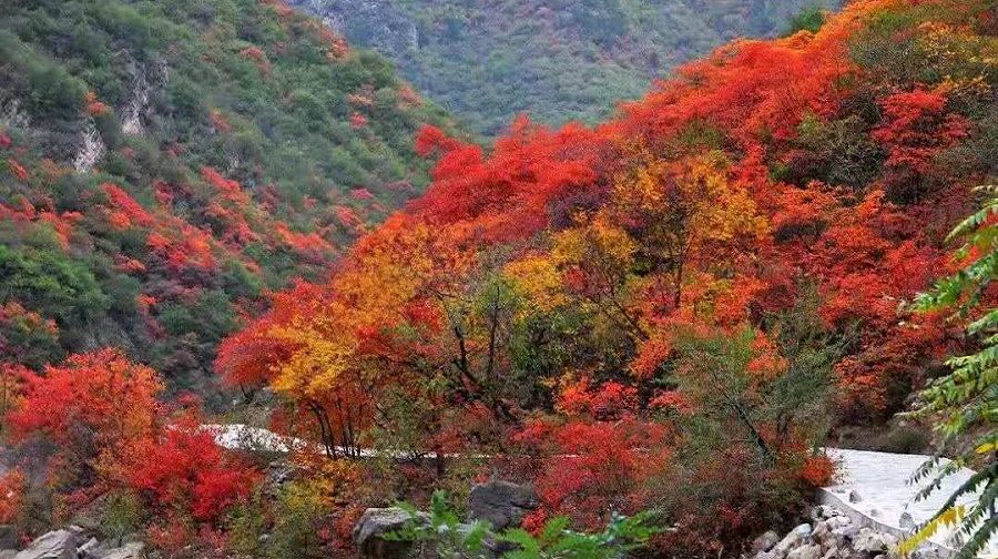 Zhengguo Canal Scenic Area