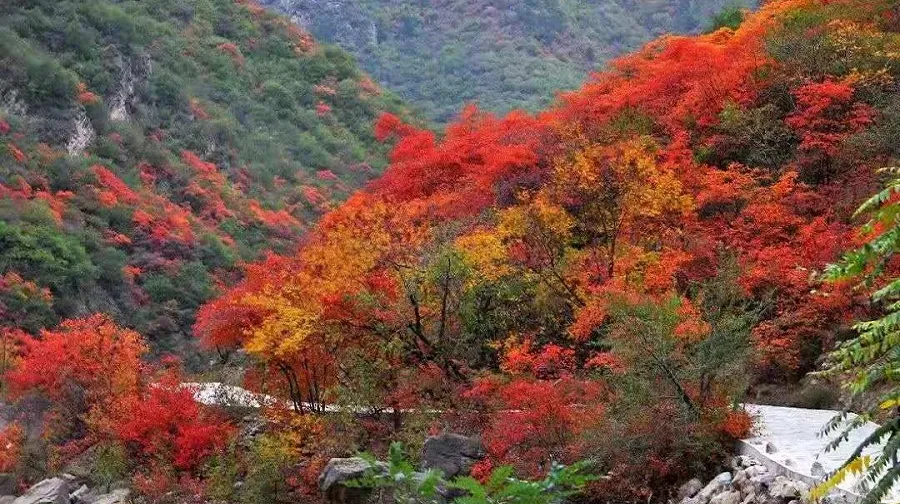 Zhengguo Canal Scenic Area