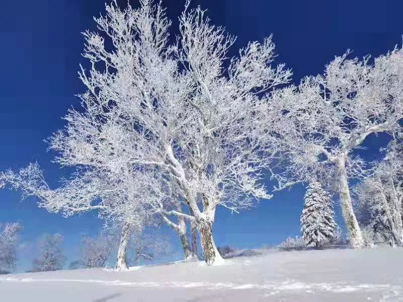 1_大禿頂子山
