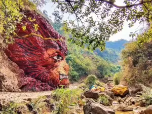 Nanhai Bay Forest Ecological Park