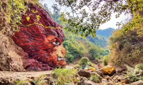 Nanhai Bay Forest Ecological Park