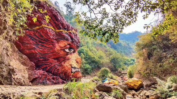 Nanhai Bay Forest Ecological Park