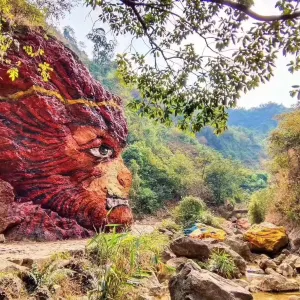南海灣森林生態園