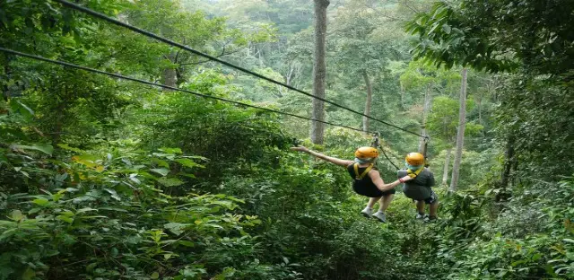 Ziplining in Xishuangbanna