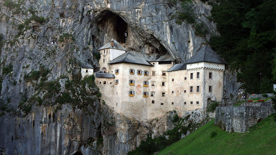 PiranTours