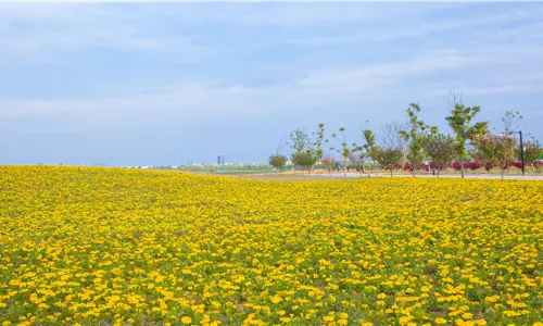 Huatuo Baicao Garden