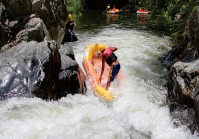 Wuzhishan River Full of Water Tropical Rainforest