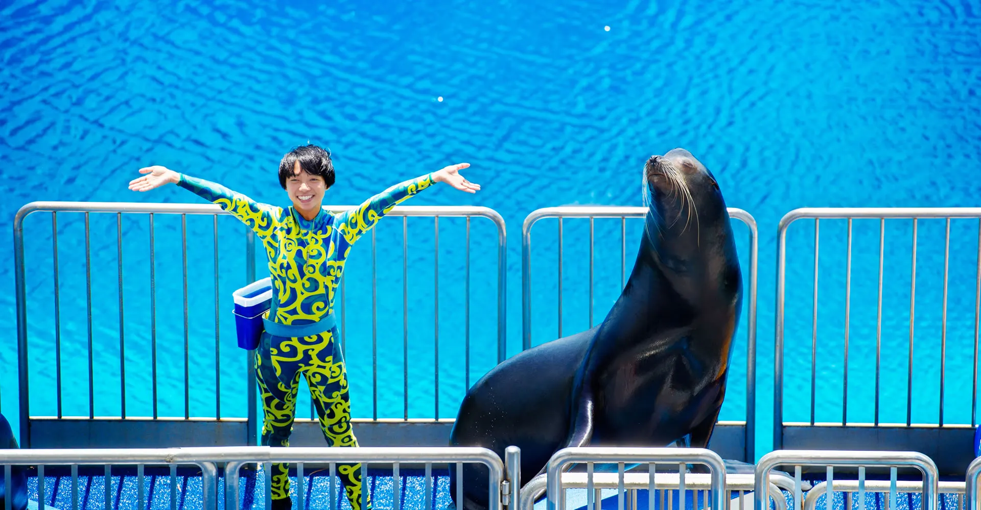Attractions to See at Ocean Park Hong Kong