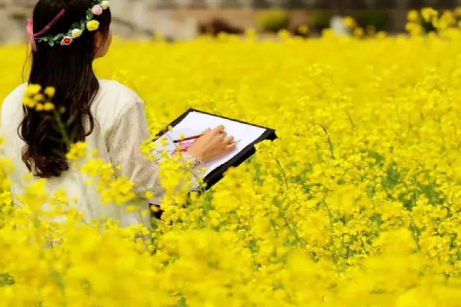 紫海芳庭熏衣草莊園