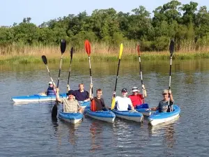 Delta Wildlife Kayak Tour
