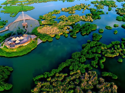 沙湖生態旅遊區