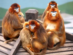 大連森林動物園