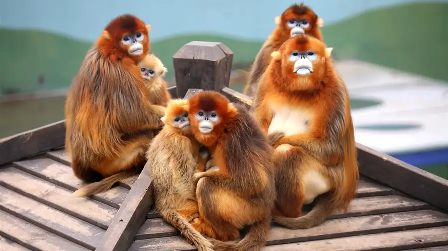 2_大連森林動物園