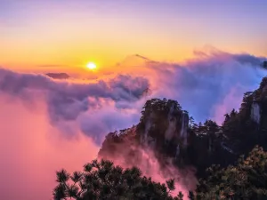 Yang Shi Mu