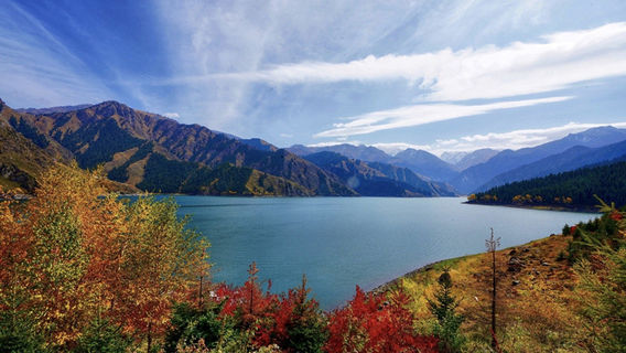 UrumqiTravel Services
