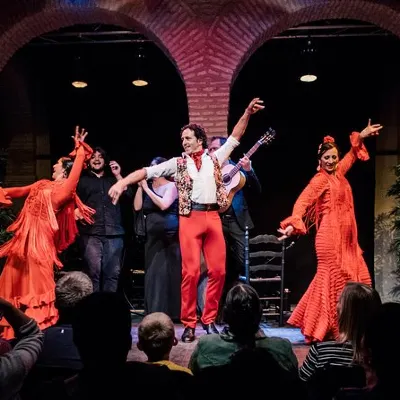 Museo del Baile Flamenco Show with Optional Museum ticket