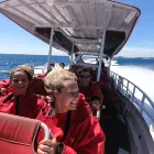 Adventure Rottnest Tour with Ferry & Adventure Cruise from Perth or Fremantle