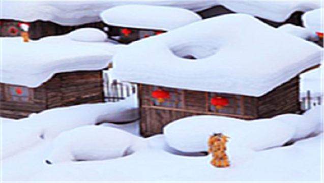 牡丹江中國雪鄉一日《暢銷優選》2-8人小團|冰雪畫廊|看夜景