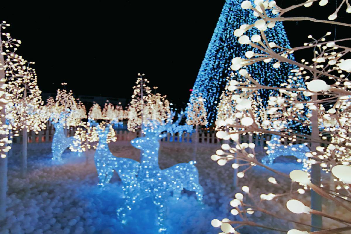 深圳聖誕, 世界之窗