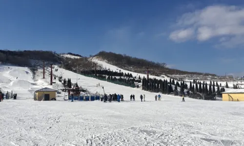 Joyful Snow World