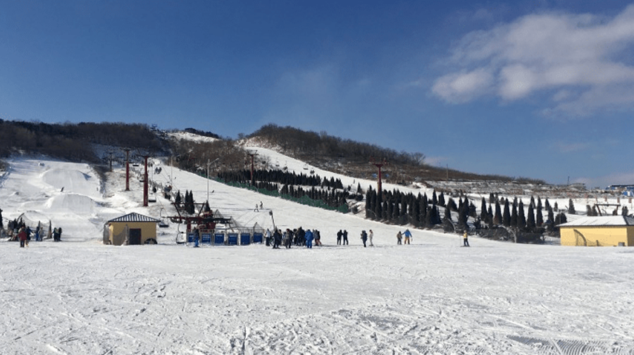 歡樂雪世界