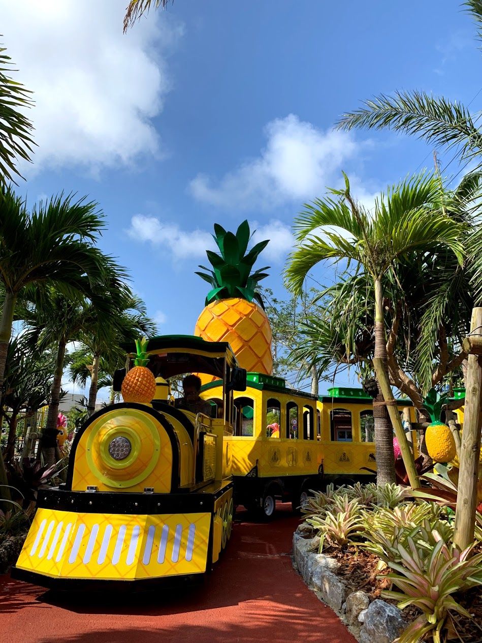 Okinawa Nago Pineapple Park Admission E-Ticket