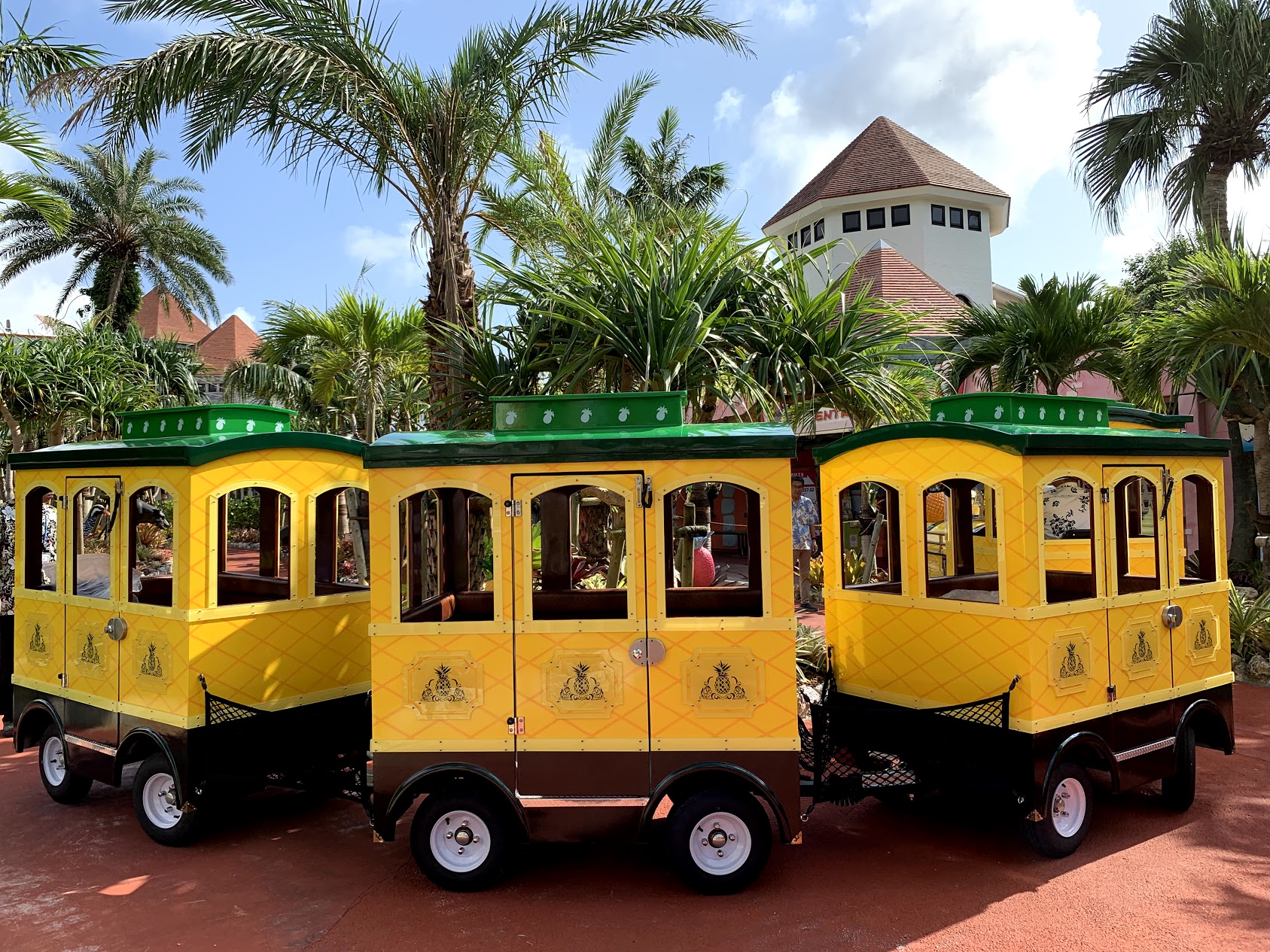 Okinawa Nago Pineapple Park Admission E-Ticket