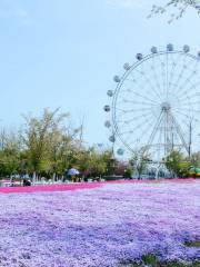 雨発エコツーリストエリア