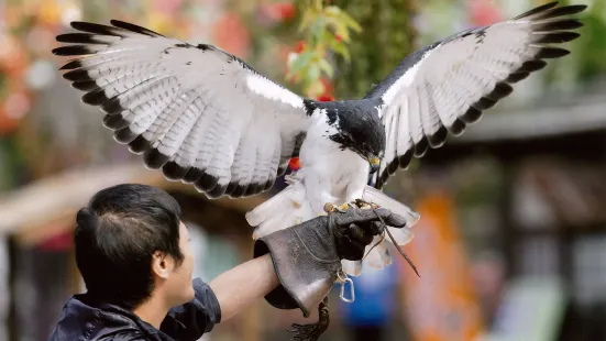 富士花鳥園